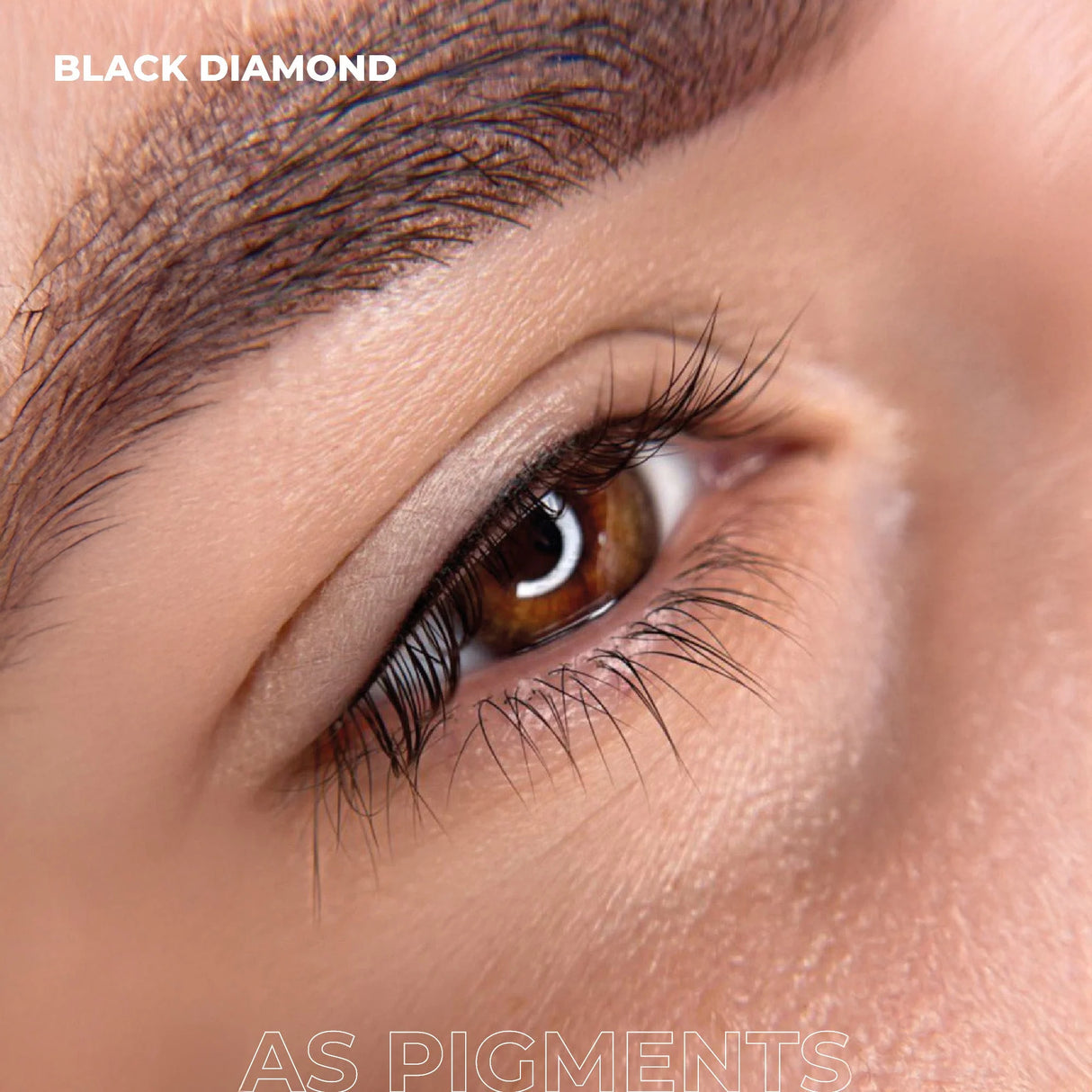 AS COMPANY Black Diamond (AS Pigments) 6/12ml - BVShop