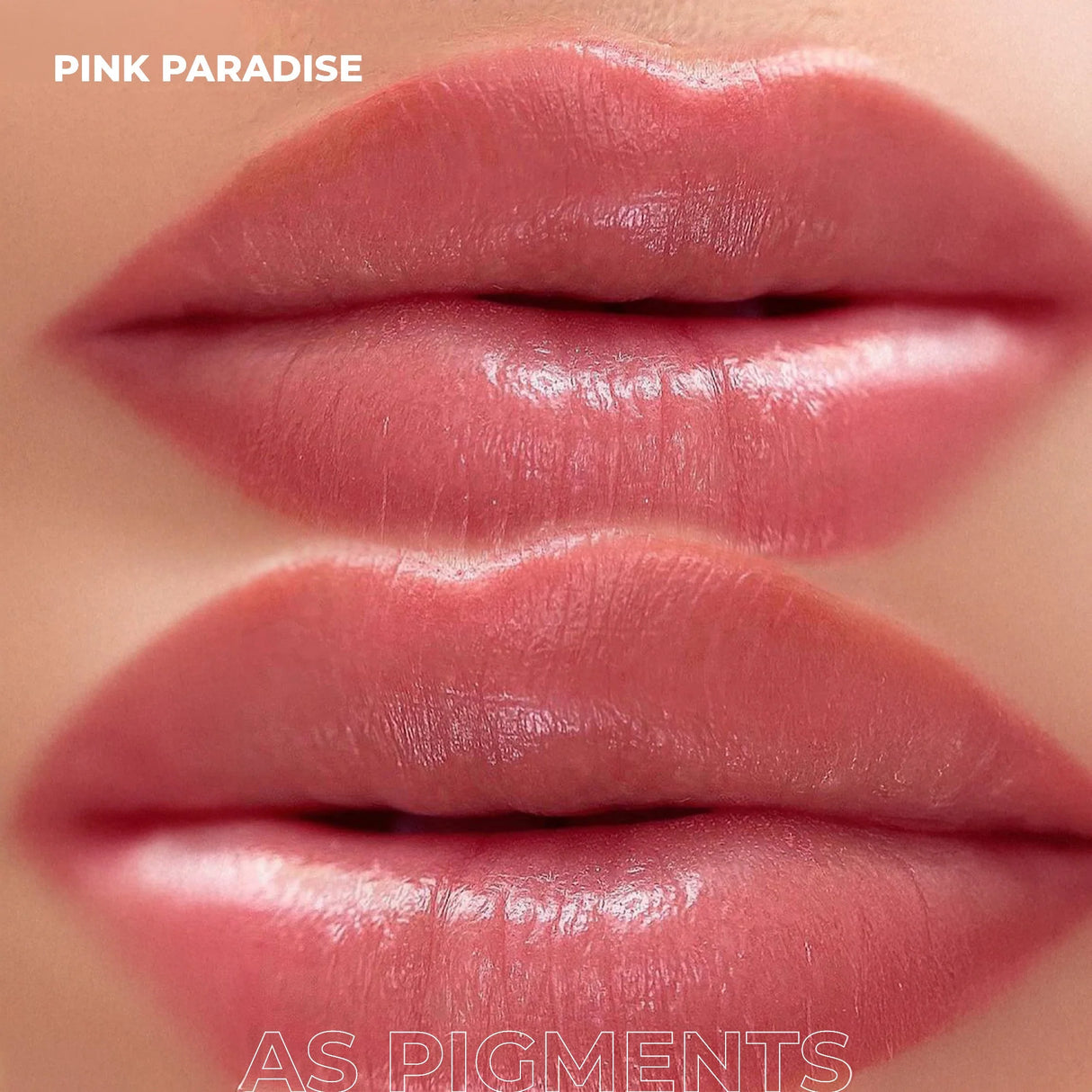 AS COMPANY Pink Paradise (AS Pigments) 6/12ml - BVShop