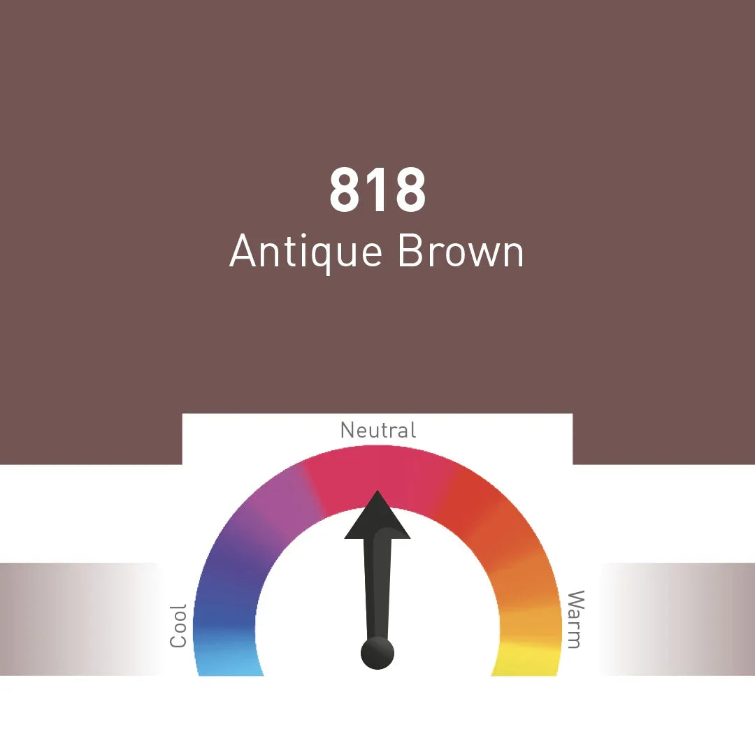 Nouveau Contour Fusion Line Eyebrow Pigment 818-Antique Brown (10ml) - BVShop