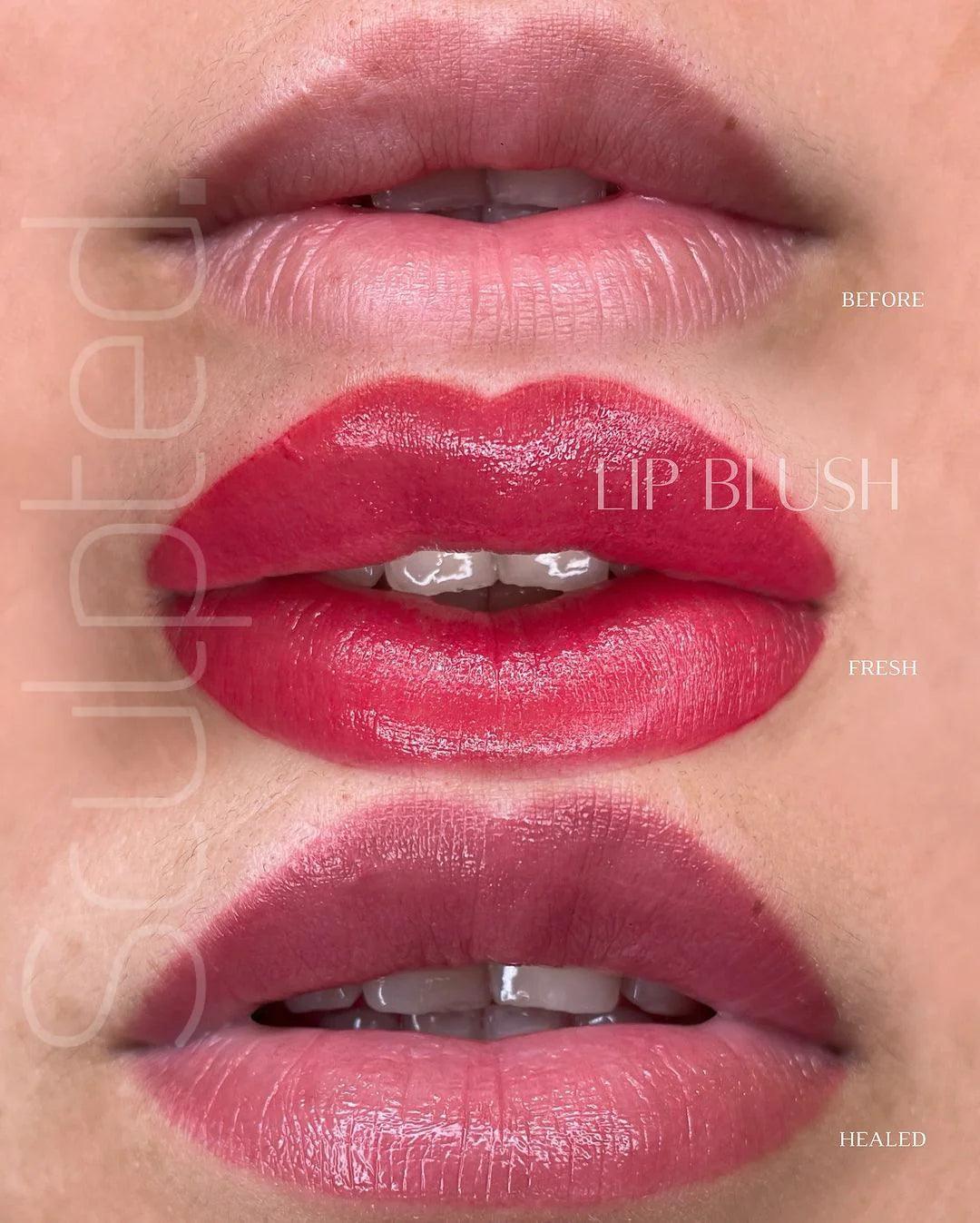 Perma Blend LUXE Base 4 - BVShop