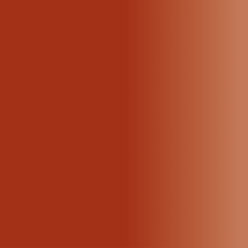 Swiss Color 107 Terra Corrector Pigment - BVShop