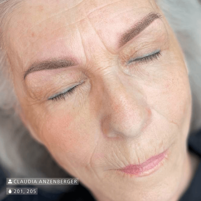 Swiss Color 205 Dark Brown Eyebrow Pigment - BVShop