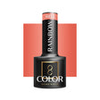 OCHO NAILS Hybrid nail polish rainbow R04 -5 g - BVShop