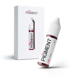 The Pigment 16 Terra red plum terracotta pigment swatch for lip PMU