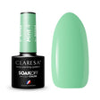 CLARESA Hybrid nail polish MINT 4 -5g - BVShop
