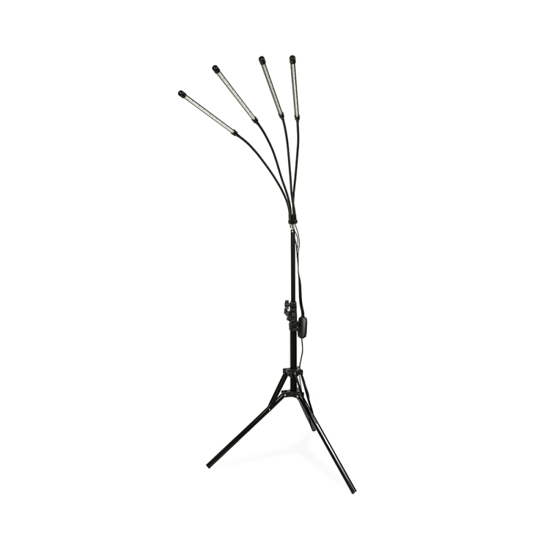 Luce a infrarossi con 4 pannelli