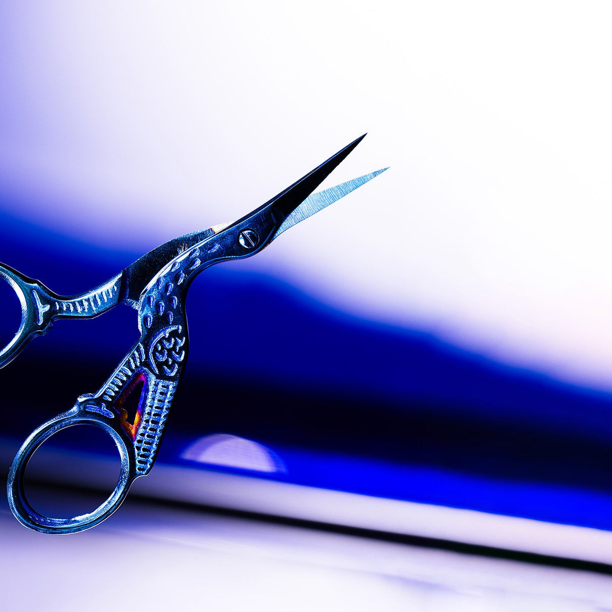 Mrs Highbrow Blue Brid Brow Scissors - BVShop
