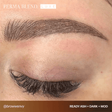 Perma Blend LUXE Ready Set Go Premodified Set - BVShop