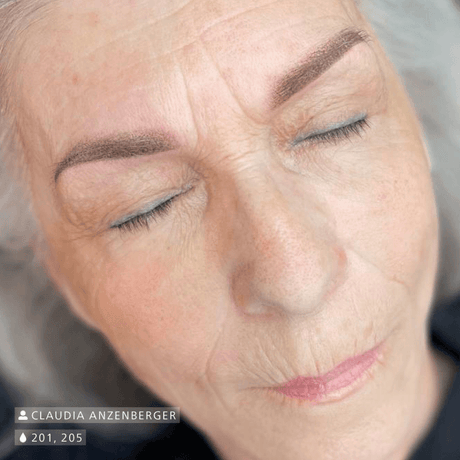 Swiss Color 205 Dark Brown Eyebrow Pigment - BVShop