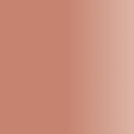 Swiss Color 704 Light Umbra Lip Pigment - BVShop